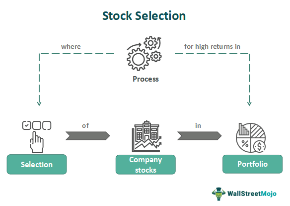stock selection criteria for investors