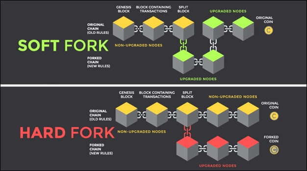 understanding blockchain forks and upgrades